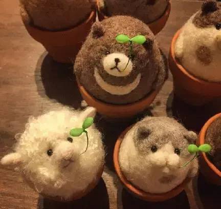 在日本买到假货,日本假货最新处理方法