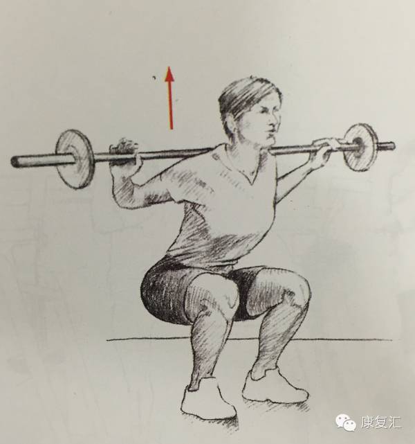 前交叉韧带重建术后还能打球吗,前交叉韧带重建术后康复训练pdf