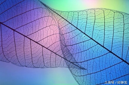 软文与文案的41个技巧,优秀软文文案背后的技巧