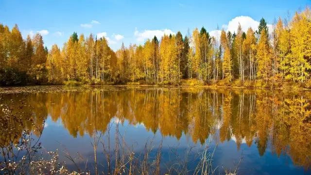 怎么防止自己小人得志,个人防小人惹是非怎么办