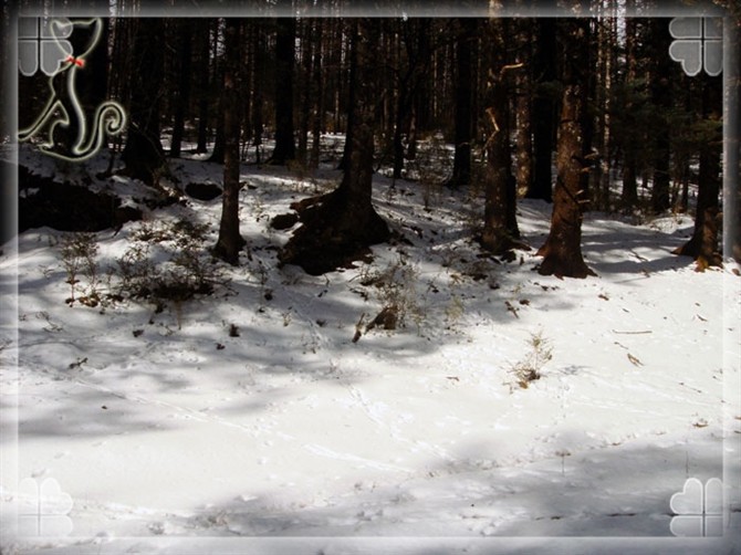 2015游云南玉龙雪山 (昆明玉龙雪山之旅)