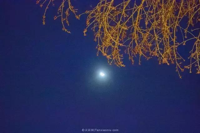 黄帝内经里面讲养生先养什么,黄帝内经养生法讲解