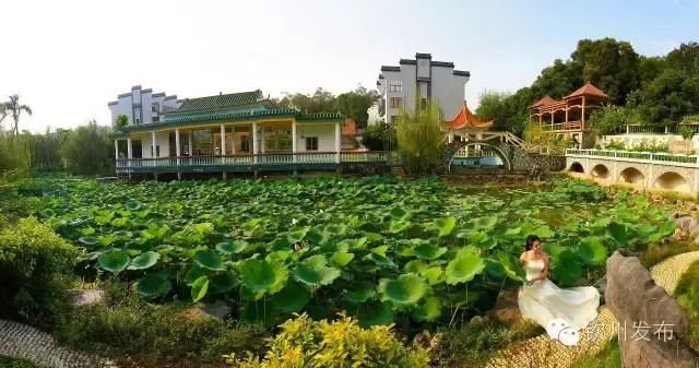 钦州市党代会报告,钦州市召开第六次党代会