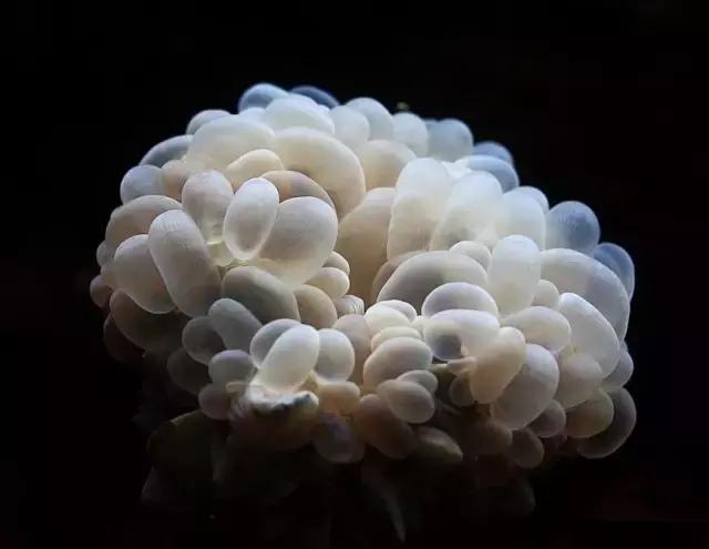 写给爱提问的十岁儿子：老爸神侃,二十一——关于意志