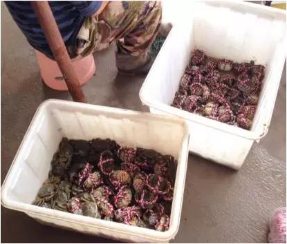 离金堂县150公里左右的景点,成都周边旅游景点大全金堂