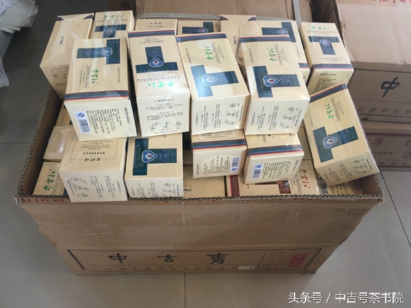 速度与慢生活的碰撞腾讯团队举办“中吉号”杯BG羽毛球赛