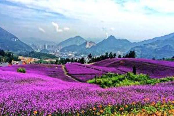 贵州人怎么称呼爸爸,贵阳人怎么称呼爷爷的上一辈