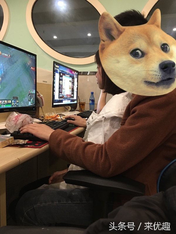 单身狗阶段性想谈恋爱,单身狗们有想恋爱的冲动吗