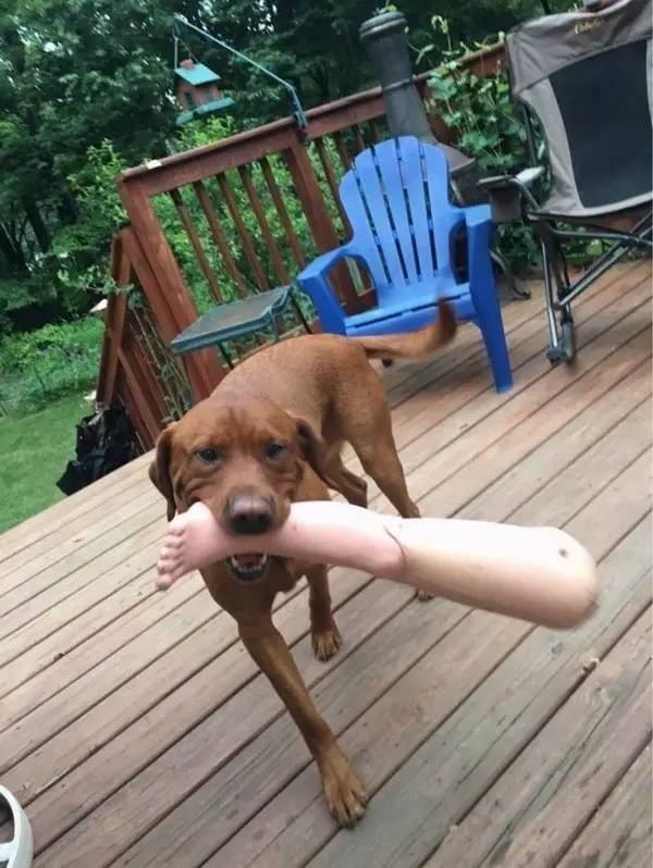 送男闺蜜生日礼物搞笑,闺蜜搞笑生日礼物推荐