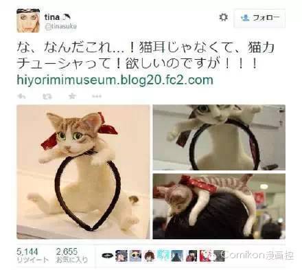 可爱猫咪戴着发箍,可爱的猫咪发箍