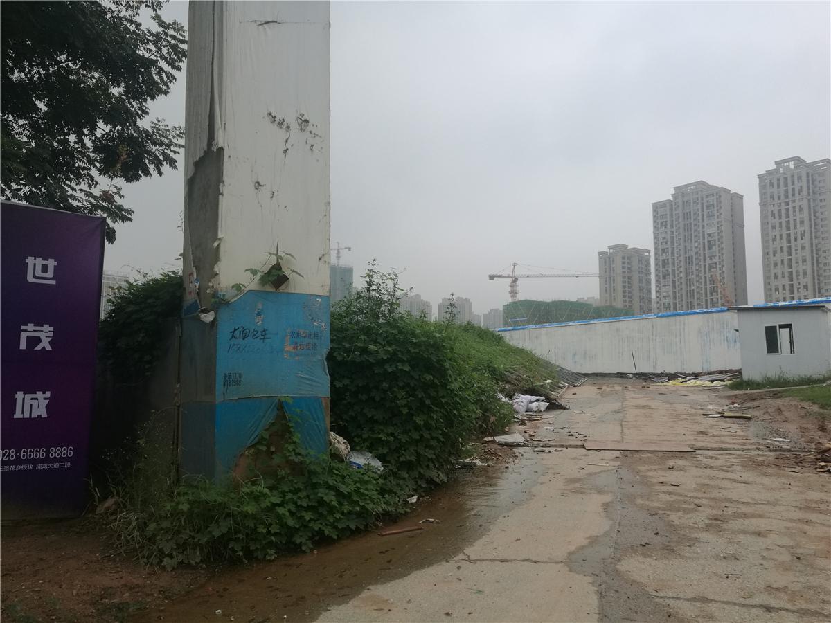 成都大面能不能买,成都大面不准摆摊吗