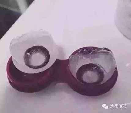 乌龟还能救过来吗,奄奄一息的小乌龟还有救吗