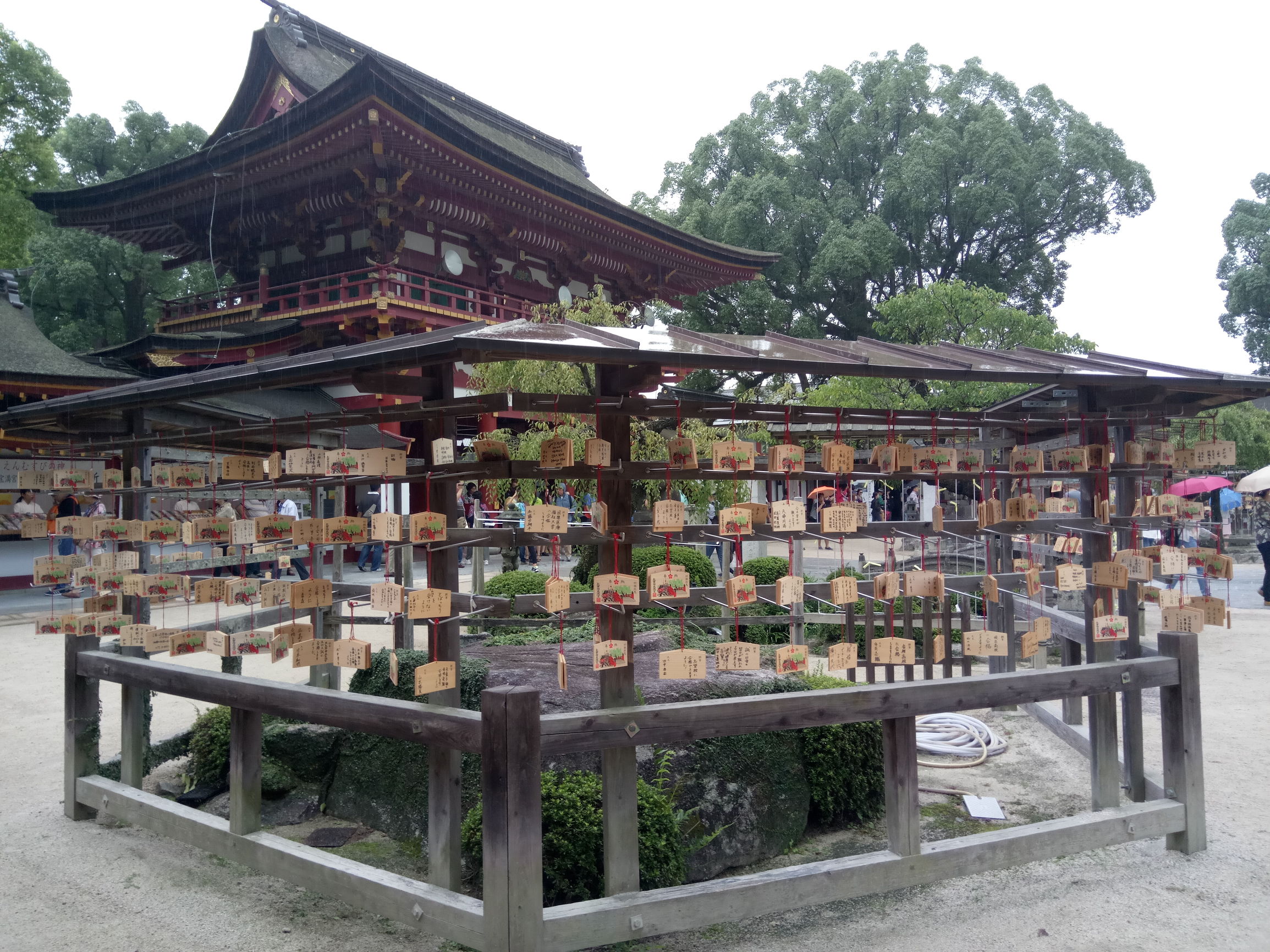 广州嘉华旅游,火爆至极