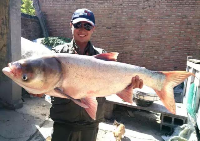 娓旇幏鎴樻姤,澶滈挀娓旇幏鎴樻姤