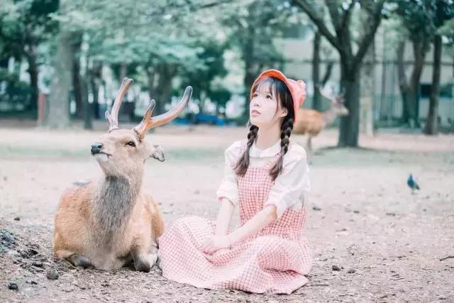 日本写给生活的情书,寄给时光的信件