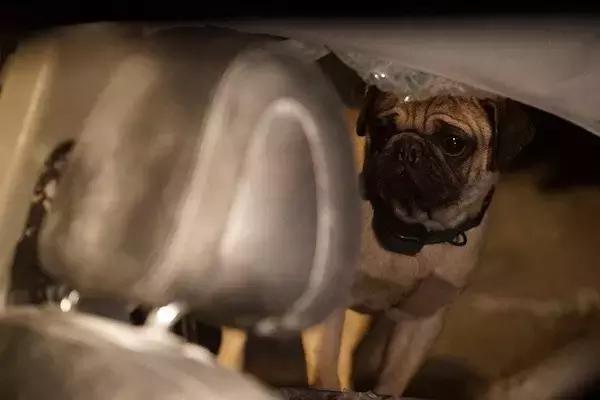 中韩足球差距在哪里,中韩足球实力差距多大