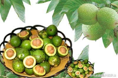 没打过基底的核桃,没打过底的核桃还有救吗