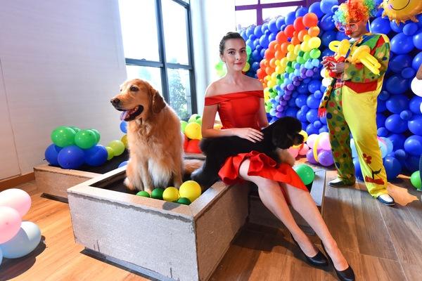 国庆狗狗出去浪,国庆带狗狗适合去哪玩