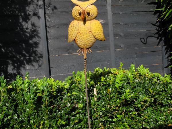 摄影师2岁宝宝拍照,最小年纪摄影师