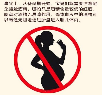 怀孕了这些食物尽量不能多吃,怀孕期间不能吃的有哪些