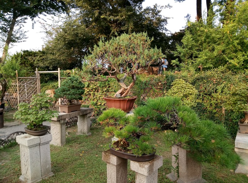 趁年轻尽情的玩,趁年轻多玩投影仪