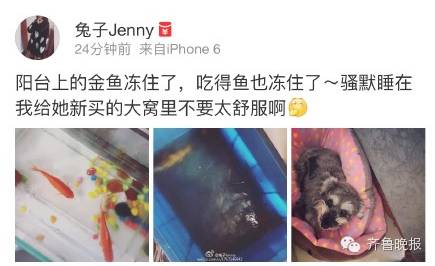 乌龟还能救过来吗,奄奄一息的小乌龟还有救吗