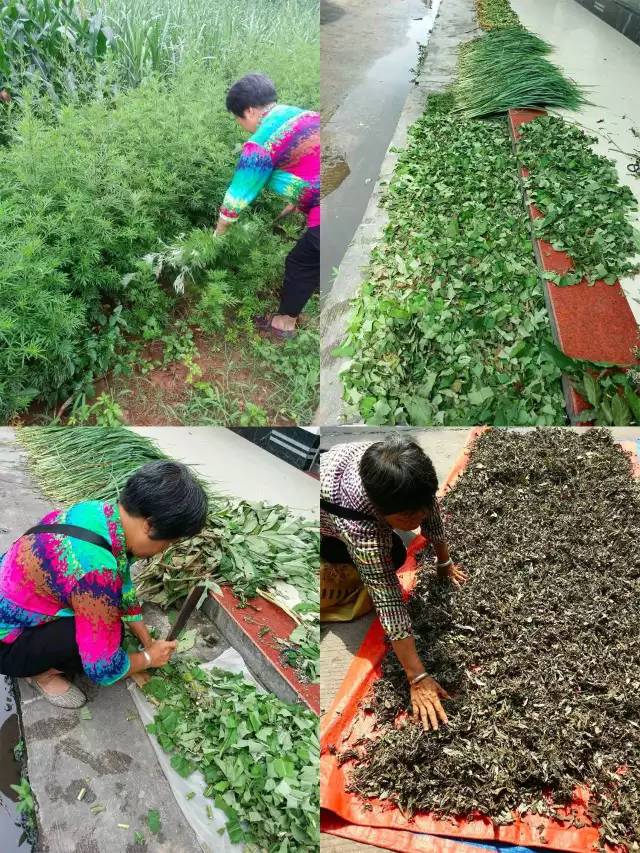 孕晚期清胎毒食谱大全,孕晚期吃什么祛湿去胎毒呢