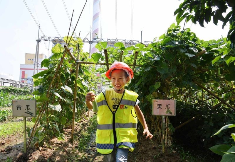 鍗庢鼎鐢靛姏鍗楁矙,骞垮窞鍗楁矙鍗庢鼎鐢靛姏鏈夐檺鍏徃