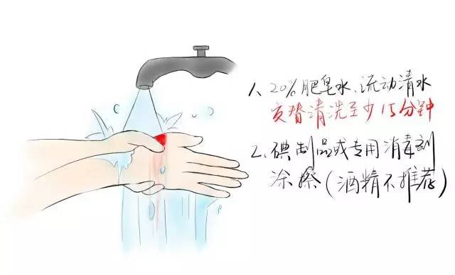 狗苗抓回来就要先打疫苗吗,买狗疫苗要打全才能买回去吗