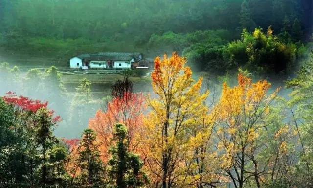 佛山十大网红景点推荐自驾游,说走就走重庆旅游攻略