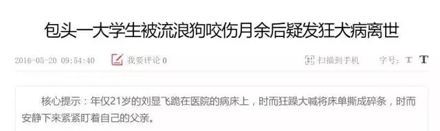 狗苗抓回来就要先打疫苗吗,买狗疫苗要打全才能买回去吗