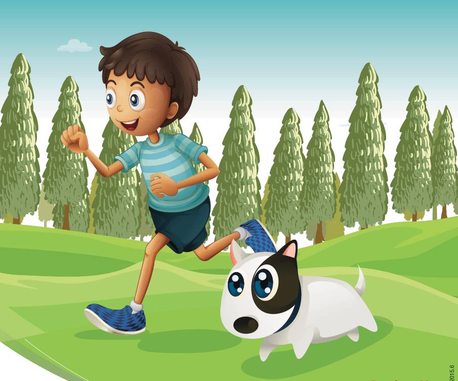 被狗咬预防方法,被狗咬了国际处理法