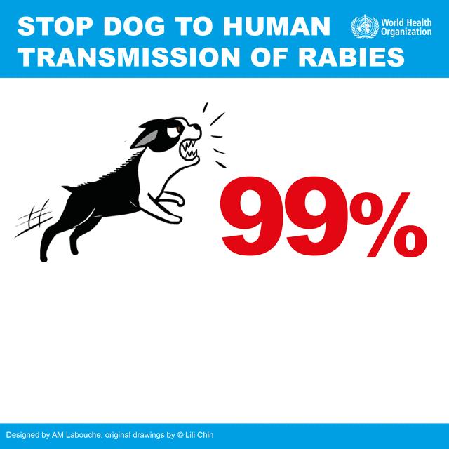 被狗咬预防方法,被狗咬了国际处理法