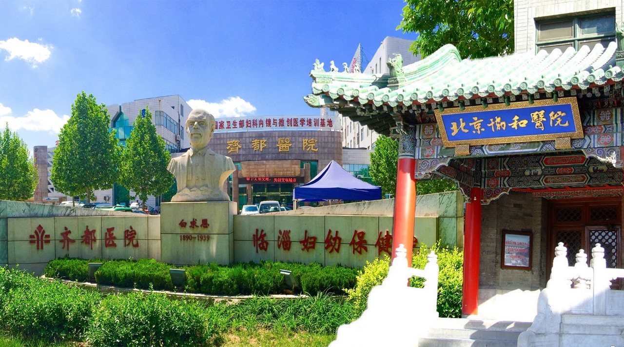 北京中医专家陪诊,北京名医专家组团义诊