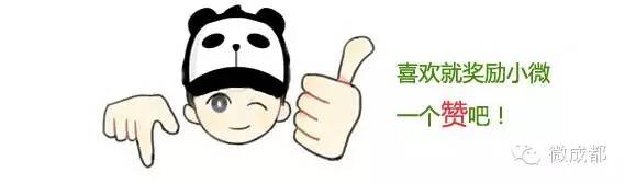 成都规划10万座专业足球场,成都100个篮球场