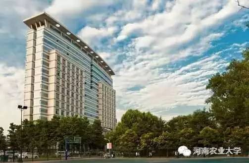 特别策划三分钟过后，农大小石榴马上开挂成老鸟！