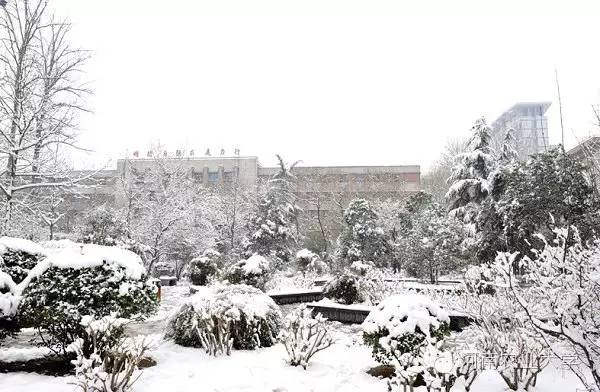 特别策划三分钟过后，农大小石榴马上开挂成老鸟！