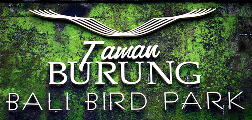 朋友圈发海边泳衣照好不好,朋友圈晒沙滩泳装