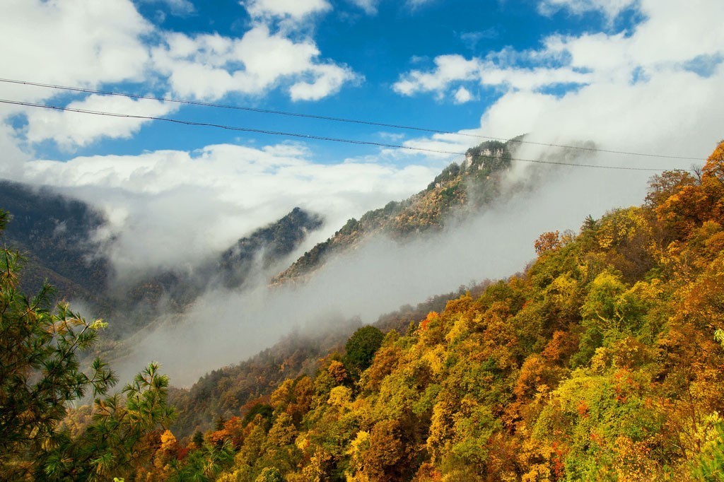 中国秋天最美的十个地方,秋天最美的旅游地点