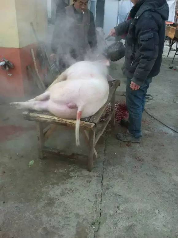 何不食肉糜是哪个皇帝说不出来的,百姓无粟米充饥何不食肉糜下一句
