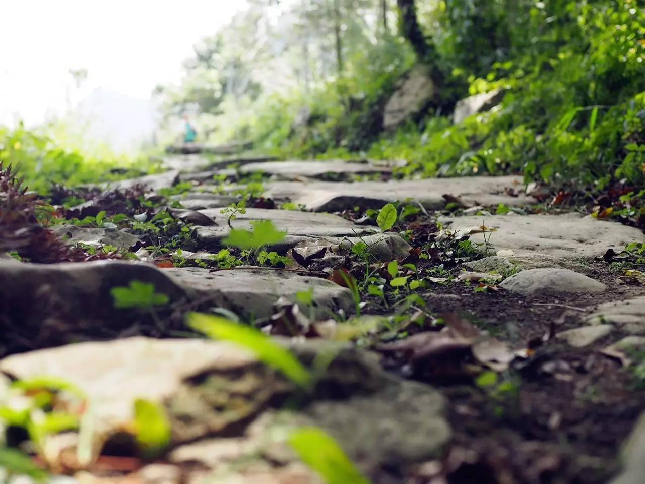 册亨布依族戏,册亨布依戏图片