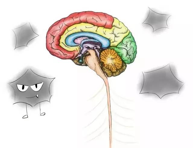 狗苗抓回来就要先打疫苗吗,买狗疫苗要打全才能买回去吗