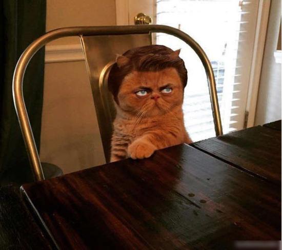 今天还是一如既往的冷！每日轻松一刻1月24日周日版