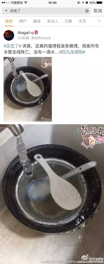 乌龟还能救过来吗,奄奄一息的小乌龟还有救吗