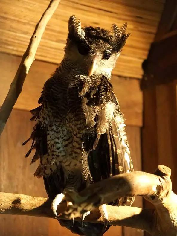 朋友圈发海边泳衣照好不好,朋友圈晒沙滩泳装