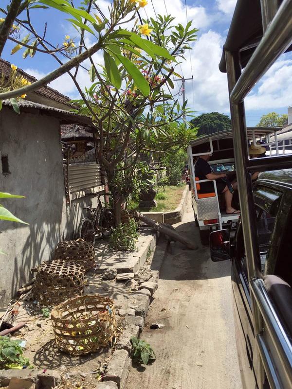 bali巴厘岛旅行记,巴厘岛baliswing