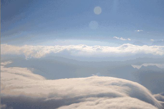 奇葩牧场|不养牛不养羊,居然养这个?