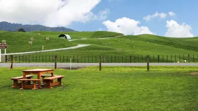 奇葩牧场|不养牛不养羊,居然养这个?