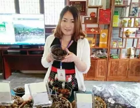 甘肃康县郑永艳,康县郑永艳