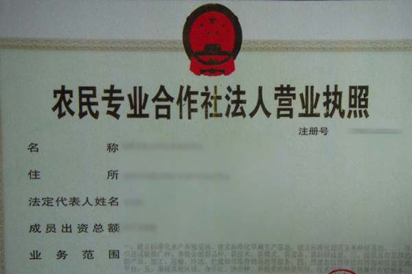 农民加入合作社后可以退出吗,农村成立合作社个人怎么办